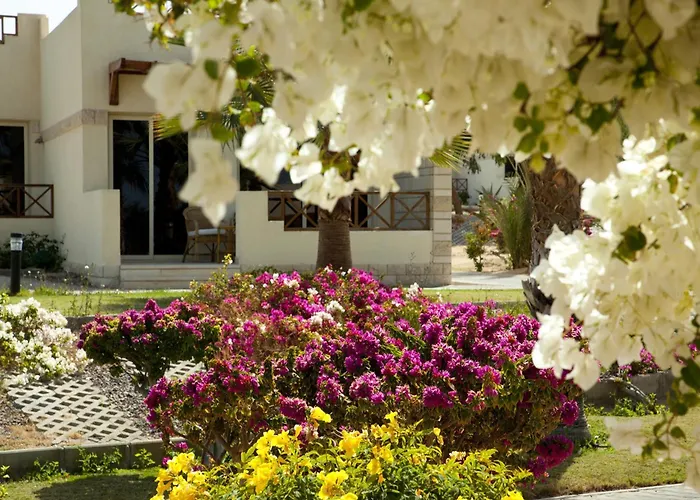 Resort Coral Hurgada